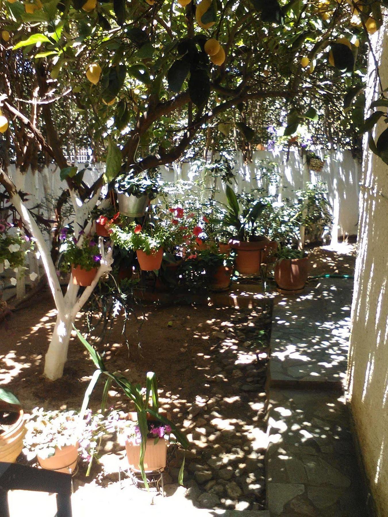 Aparthotel Iliahtides Amarynthos Dış mekan fotoğraf